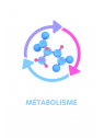 Pack Metabolic