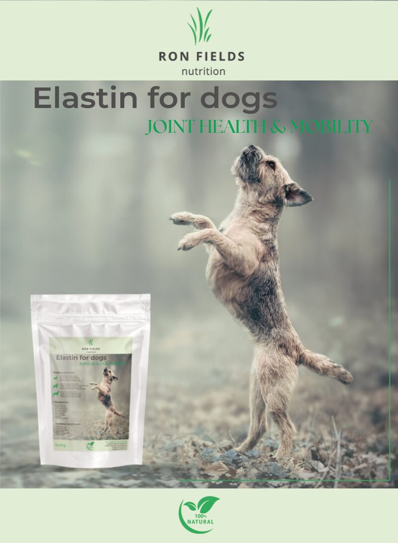 Elastin for Dogs