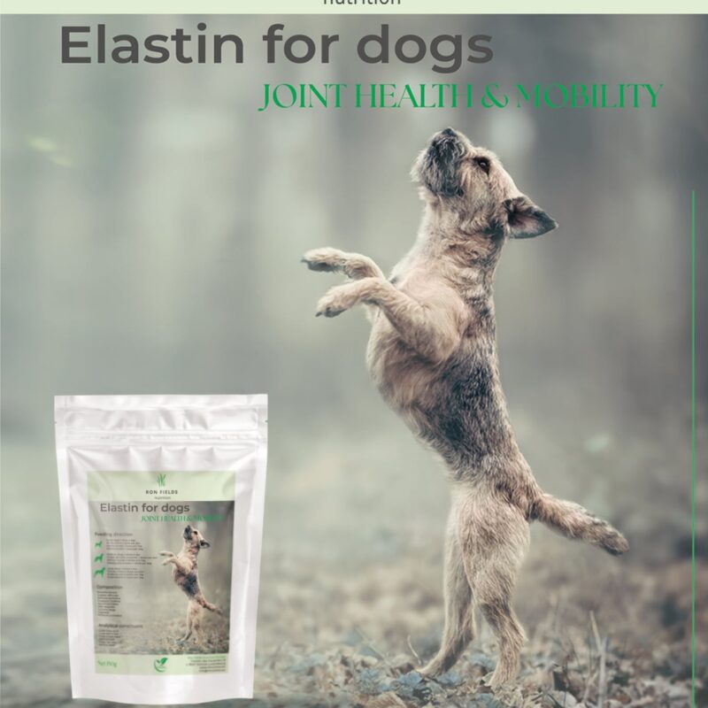 Elastin for Dogs