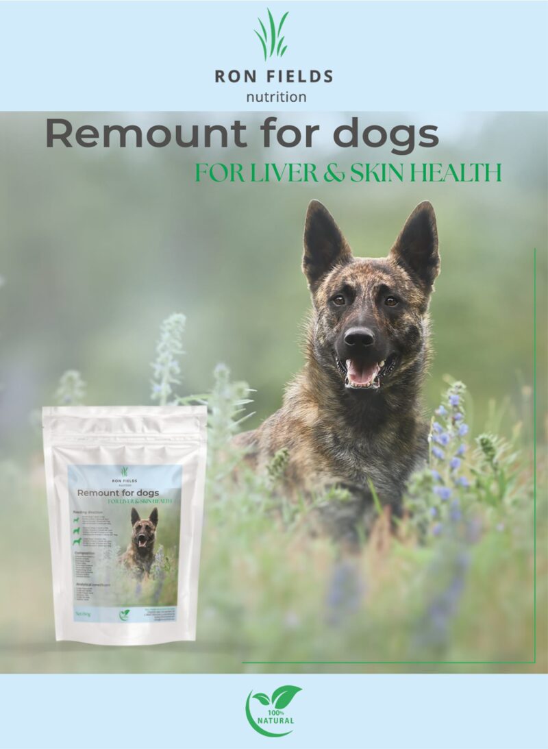 Remount for Dogs