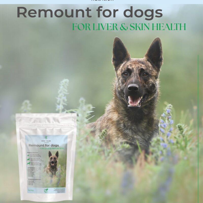 Remount for Dogs
