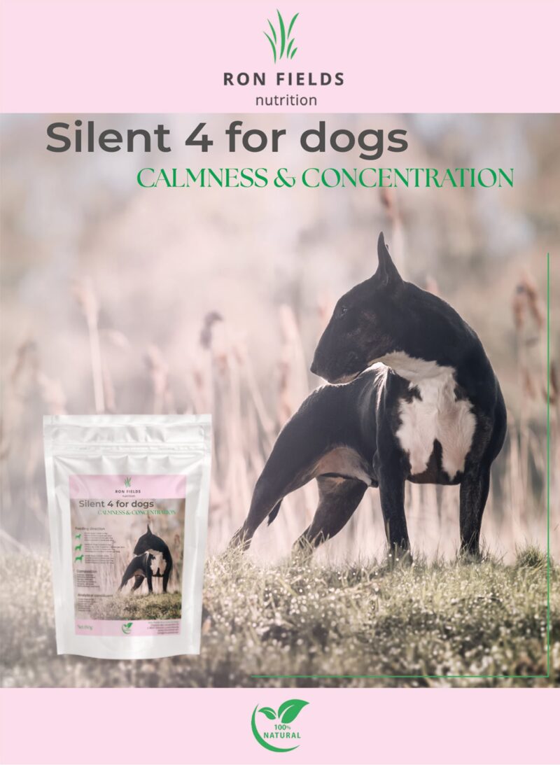 Silent 4 for dogs