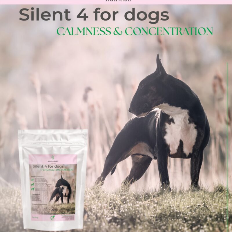 Silent 4 for dogs
