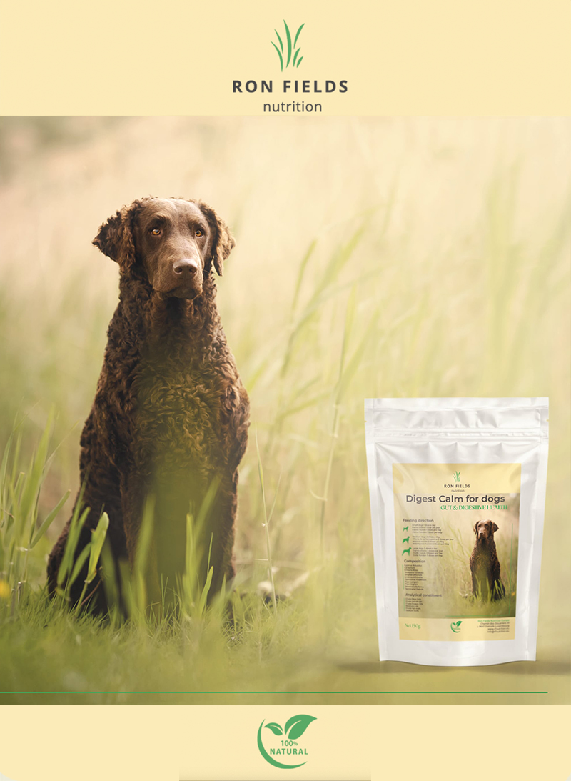 Digest Calm – Digestive Support for Dogs