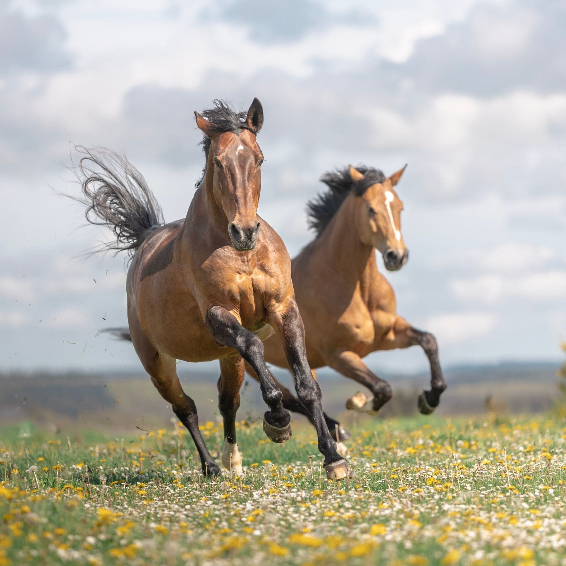 © https://sk-photographie.myportfolio.com