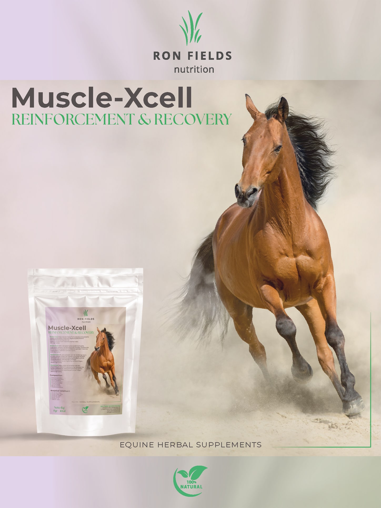Muscle – XCell – Natural Muscle Support for Horses - Image 2