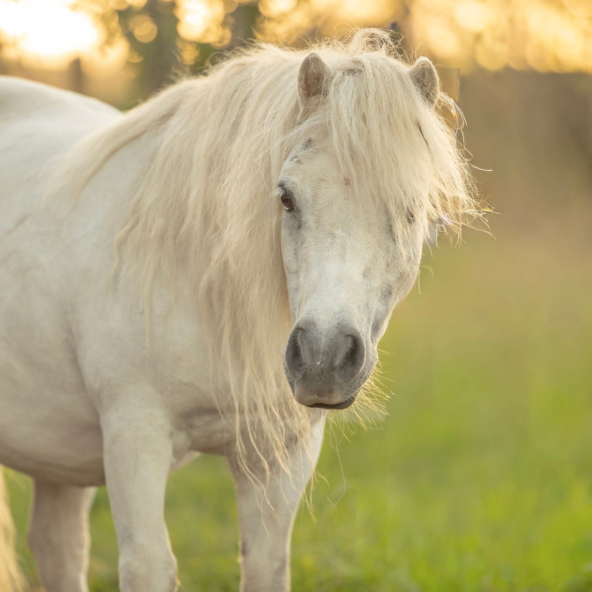 © https://sk-photographie.myportfolio.com