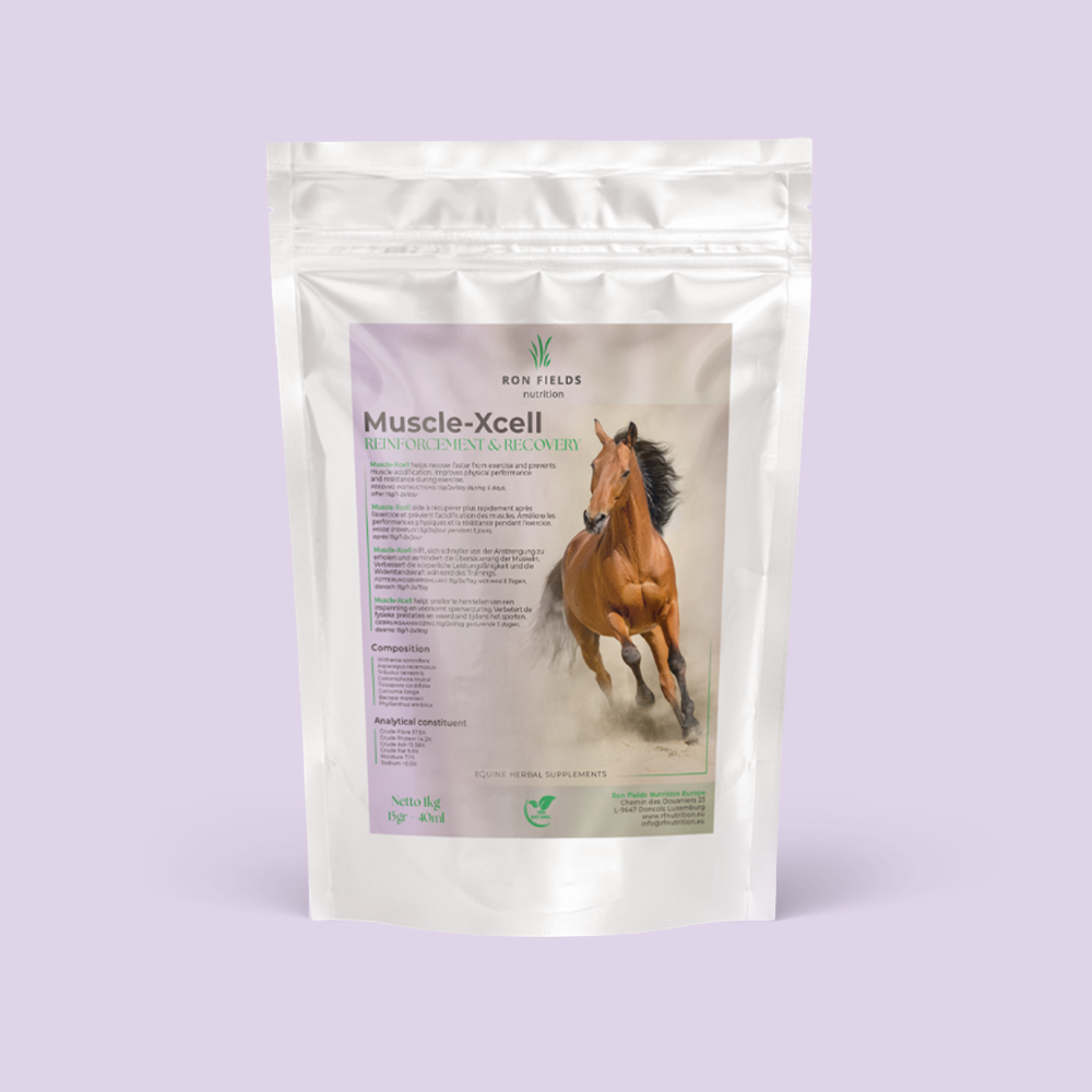 Muscle – XCell – Natural Muscle Support for Horses
