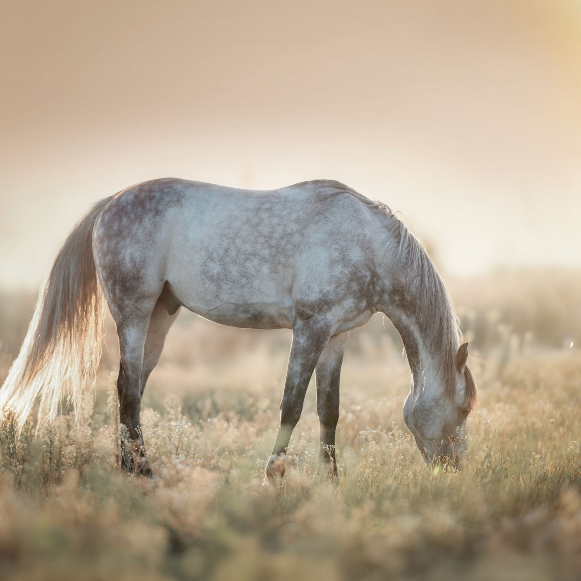 © https://sk-photographie.myportfolio.com