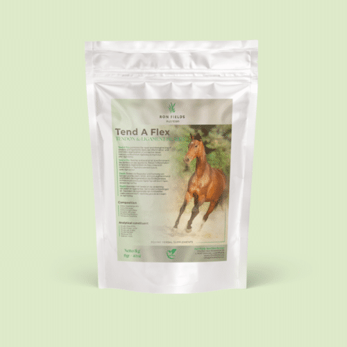 Tend-A-Flex – Natural Ayurvedic Support for Tendons and Ligaments in Horses