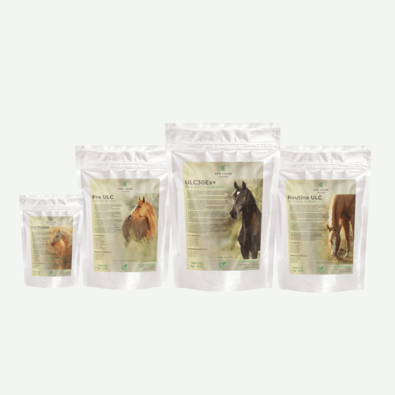 Gastro Care Kit