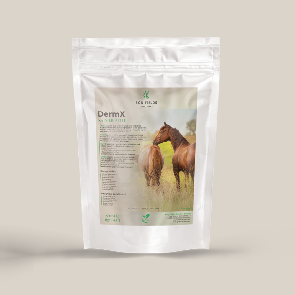 DermX – Natural Skin and Coat Support for Horses