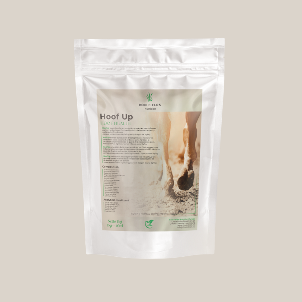 Hoof UP – Natural Hoof Health Supplement for Horses