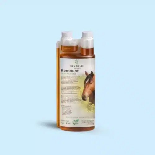 Remount - Natural Ayurvedic Support for Horses